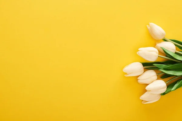 Top view of spring tulips on colorful yellow background — Stock Photo