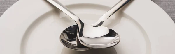 Panoramic shot of two shiny spoons on plate — Stock Photo