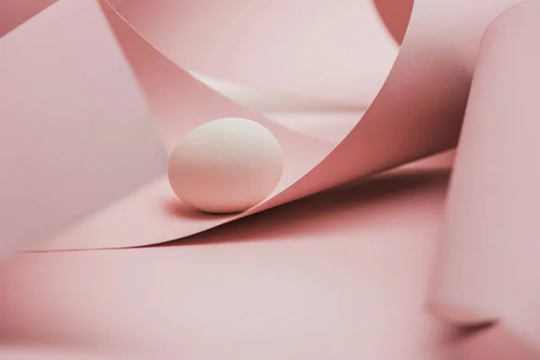 Chicken egg in shadow in spiral paper pink swirls — Stock Photo