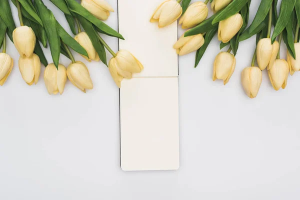 Верхний вид тюльпанов и пустой блокнот изолирован на белом — стоковое фото