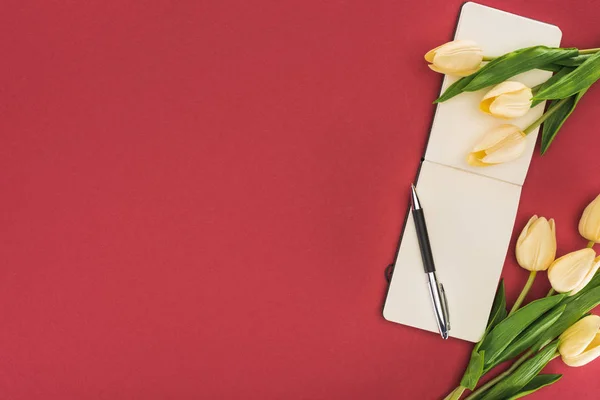 Vue du dessus des tulipes et bloc-notes vide avec stylo isolé sur rouge — Photo de stock