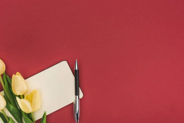 Верхний вид тюльпанов и пустой блокнот с ручкой изолированы на красный — стоковое фото