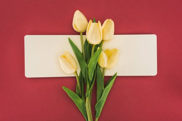 Vista superior de tulipas e caderno vazio isolado em vermelho — Fotografia de Stock