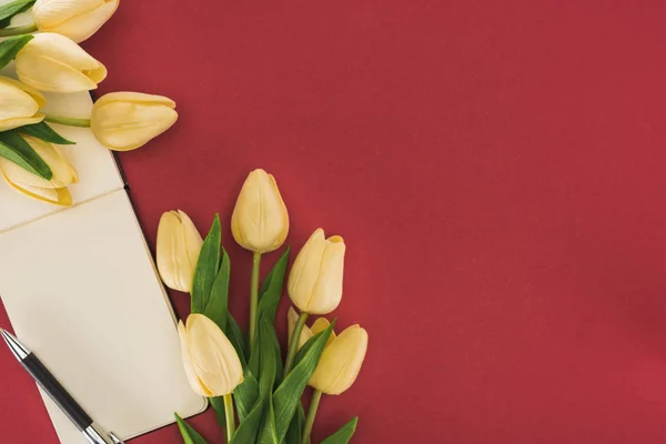 Vista superior de tulipas e caderno vazio com caneta isolada em vermelho — Fotografia de Stock