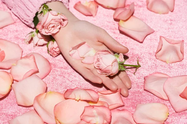 Vista cortada de mulher segurando rosa entre pétalas em pano de veludo rosa, conceito de menina — Fotografia de Stock