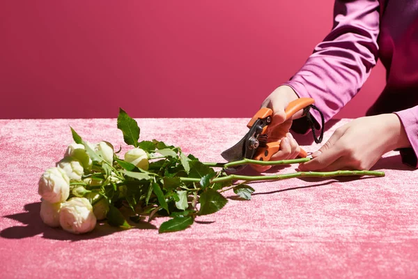 Vista cortada de rosas poda mulher em pano de veludo isolado em rosa, conceito feminino — Fotografia de Stock