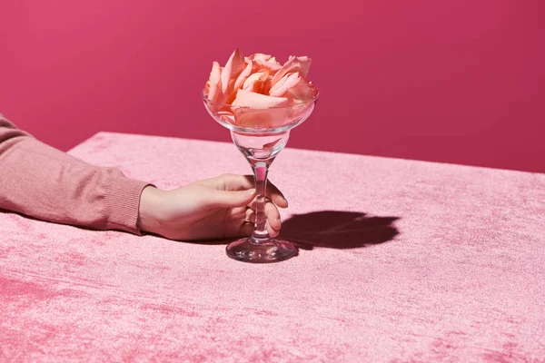 Vista cortada da mulher com pétalas em vidro sobre pano de veludo isolado em rosa, conceito feminino — Fotografia de Stock