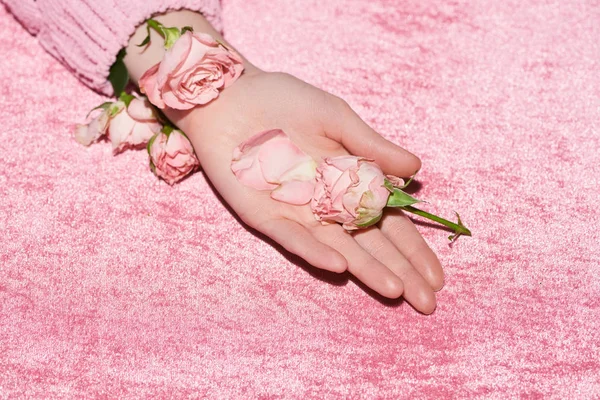 Vista cortada de mulher segurando rosas em pano de veludo rosa, conceito feminino — Fotografia de Stock