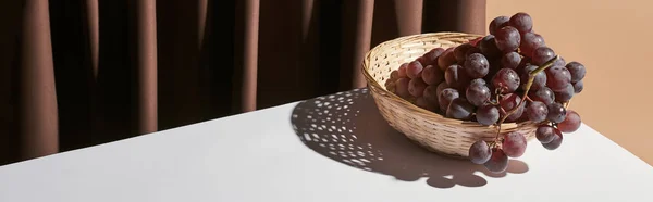 Classic still life with grape in wicker basket on table near curtain isolated on beige, panoramic shot — Stock Photo