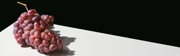 Bodegón clásico con uva con sombra sobre mesa blanca aislada sobre plano negro, panorámico - foto de stock