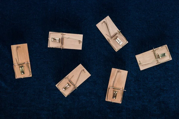 Top view of wooden mousetraps on blue background — Stock Photo