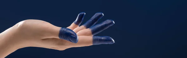 Vista cortada da mão feminina com dedos pintados isolados em azul, tiro panorâmico — Fotografia de Stock