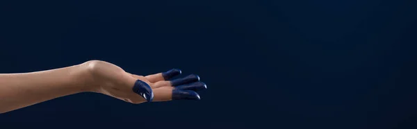 Обрізаний вид жіночої руки з розфарбованими пальцями ізольовані на синьому фоні, панорамний знімок — стокове фото