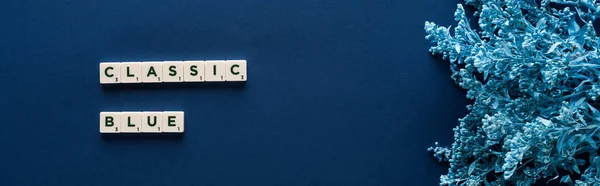 Top view of classic blue lettering on cubes near painted plant on blue background, panoramic shot — Stock Photo