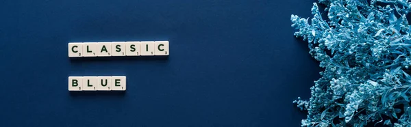 Vista superior de letras azules clásicas en cubos cerca de la planta pintada sobre fondo azul, plano panorámico - foto de stock