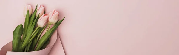 Top view of tulips wrapped in paper on pink background, panoramic shot — Stock Photo