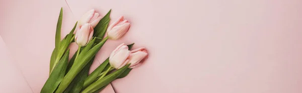 Draufsicht auf Tulpenstrauß auf rosa Hintergrund, Panoramaaufnahme — Stockfoto