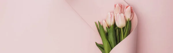 Top view of tulip bouquet wrapped in paper swirl on pink background, panoramic shot — Stock Photo