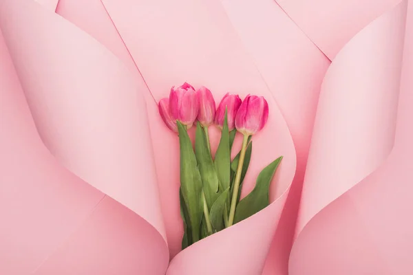 Draufsicht auf rosa Tulpen, die in Papierspiralen auf rosa Hintergrund gewickelt sind — Stockfoto