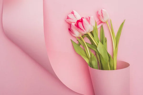 Vista superior de tulipas embrulhadas em papel redemoinho sobre fundo rosa — Fotografia de Stock