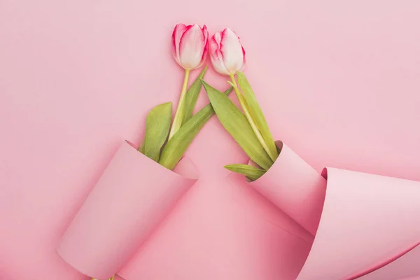 Top view of tulips wrapped in paper swirls on pink background — Stock Photo