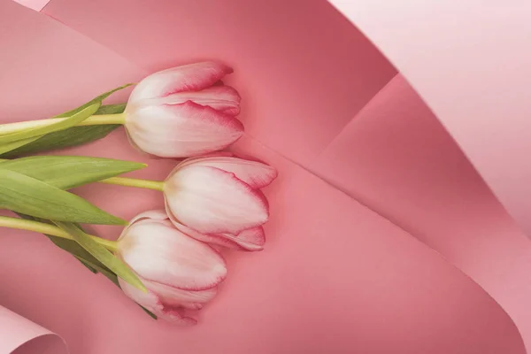 Vista superior de tulipanes florecientes de primavera en remolinos de papel rosa - foto de stock