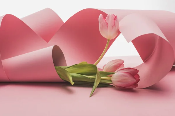 Tulips wrapped in pink paper swirls isolated on white — Stock Photo
