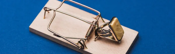 Foto panorámica de anillo de joyería en trampa de ratón sobre fondo azul - foto de stock