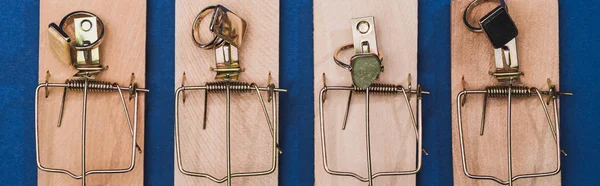 Captura panorámica de trampas de ratón con anillos de joyería sobre fondo azul - foto de stock