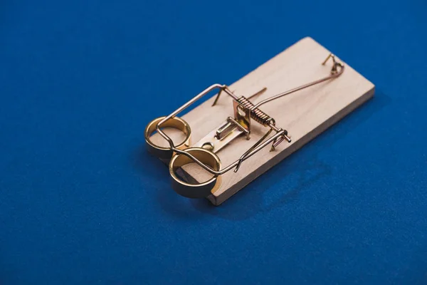 Dos anillos de joyería dorada en trampa de ratón sobre fondo azul - foto de stock