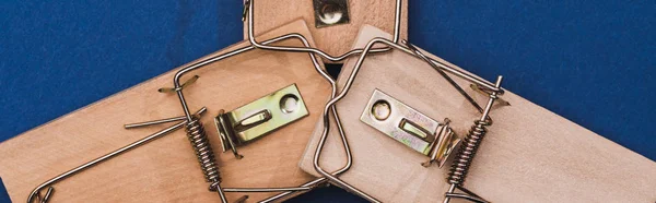 Top view of wooden mouse traps on blue background, panoramic shot — Stock Photo