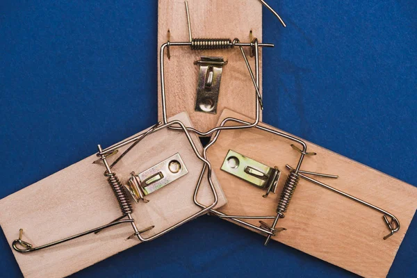 Top view of wooden mouse traps on on blue surface — Stock Photo