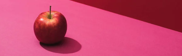 Fresh juicy apple on red and pink background, panoramic shot — Stock Photo