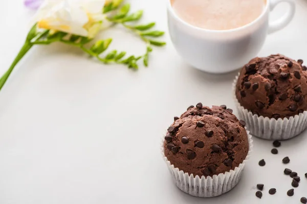 Muffins de chocolate fresco perto de planta e café na superfície de mármore — Fotografia de Stock