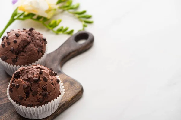 Fresh chocolate muffins on wooden cutting board near plant on marble surface — Stock Photo