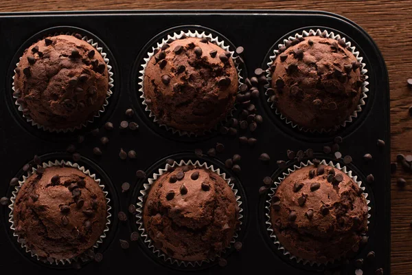 Top view of fresh chocolate muffins in muffin tin on wooden surface — Stock Photo