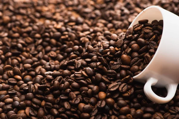 Selective focus of fresh roasted coffee beans and white cup — Stock Photo