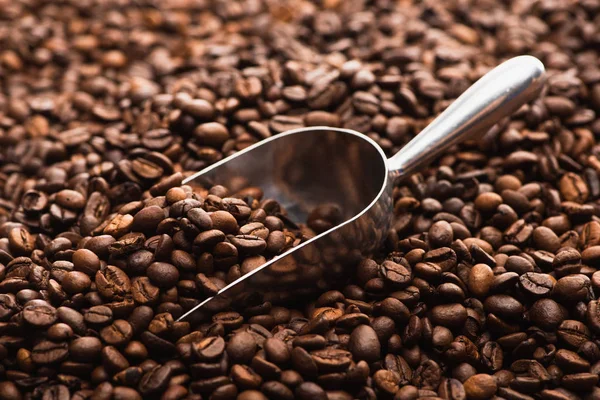 Fresh roasted coffee beans with metal spatula — Stock Photo