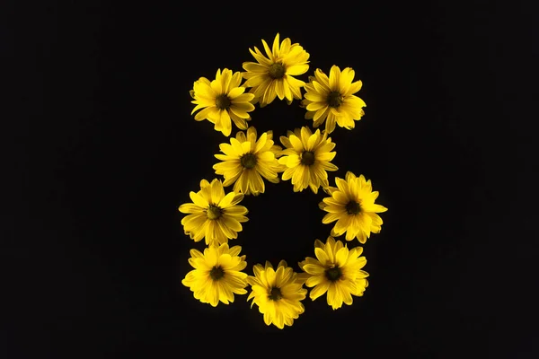 Vue de dessus des marguerites jaunes disposées en numéro 8 isolées sur noir — Photo de stock