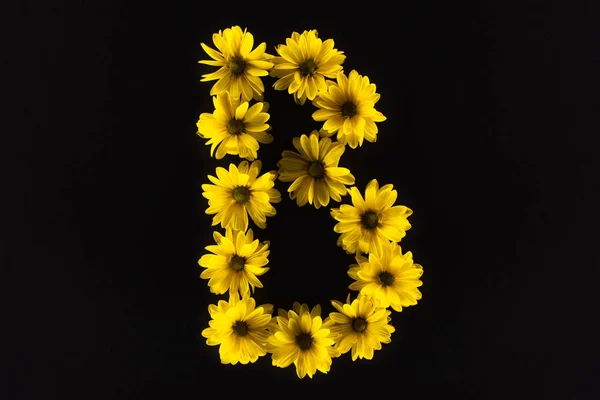 Vue de dessus des marguerites jaunes disposées en lettre B isolées sur noir — Photo de stock