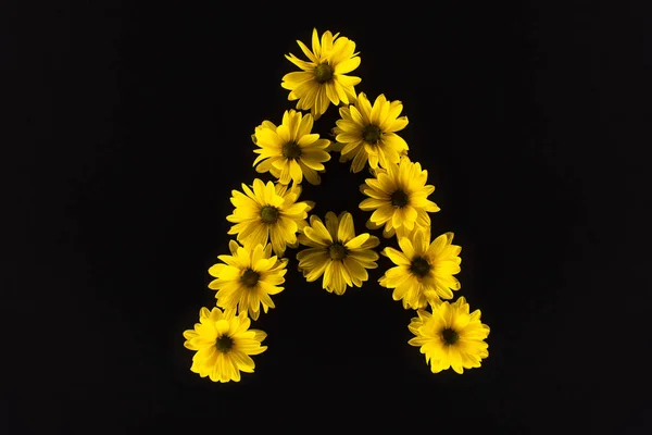 Vista superior de las margaritas amarillas dispuestas en letra A aisladas en negro - foto de stock