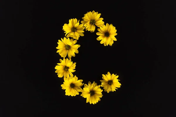 Vue de dessus des marguerites jaunes disposées en lettre C isolées sur noir — Photo de stock