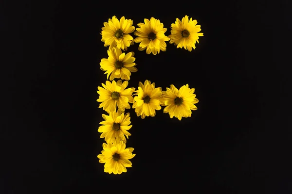 Top view of yellow daisies arranged in letter F isolated on black — Stock Photo