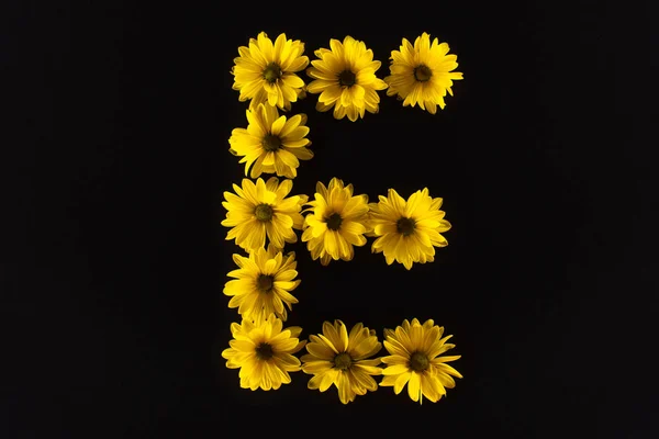 Vue de dessus des marguerites jaunes disposées en lettre E isolées sur noir — Photo de stock