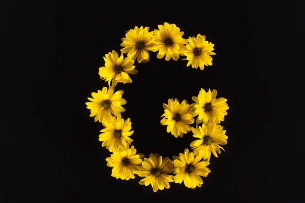 Vue de dessus des marguerites jaunes disposées en lettre G isolées sur noir — Photo de stock