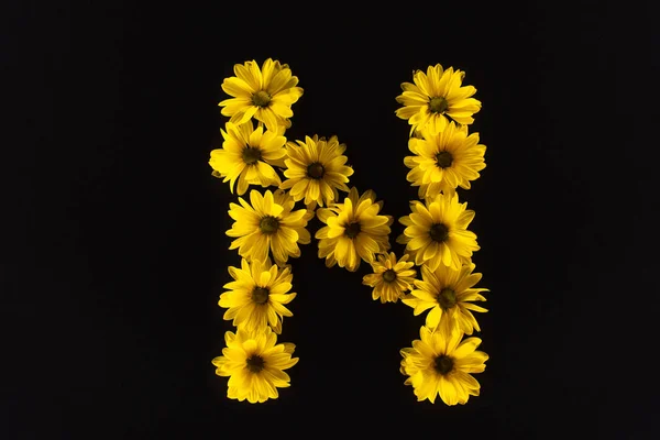 Vue de dessus des marguerites jaunes disposées en lettre N isolées sur noir — Photo de stock