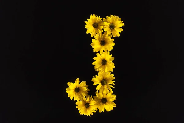 Vue de dessus des marguerites jaunes disposées en lettre J isolées sur noir — Photo de stock