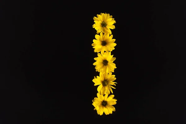 Vista superior de las margaritas amarillas dispuestas en letra I aisladas en negro - foto de stock