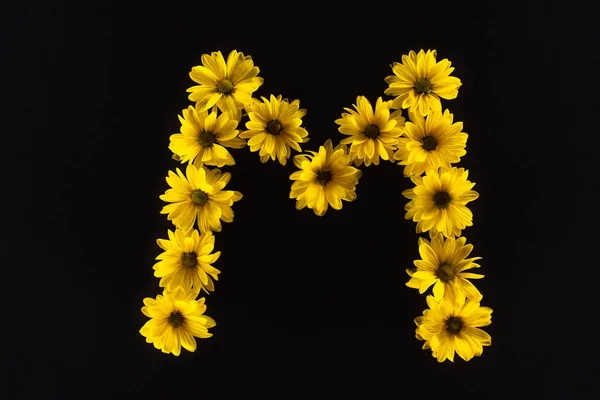 Вид сверху на желтые маргаритки, выстроенные в букву М, изолированные на черном — стоковое фото