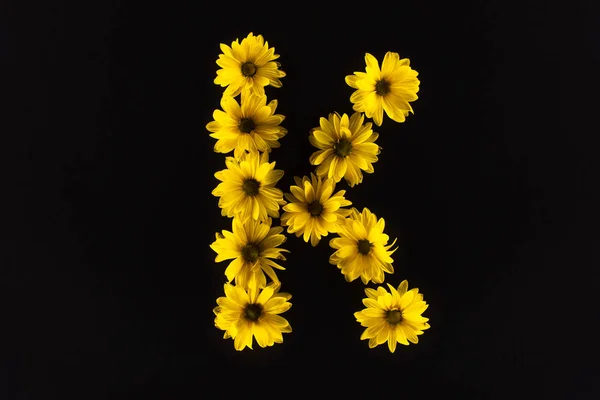 Вид зверху на жовті ромашки, розташовані в букві K ізольовані на чорному — стокове фото